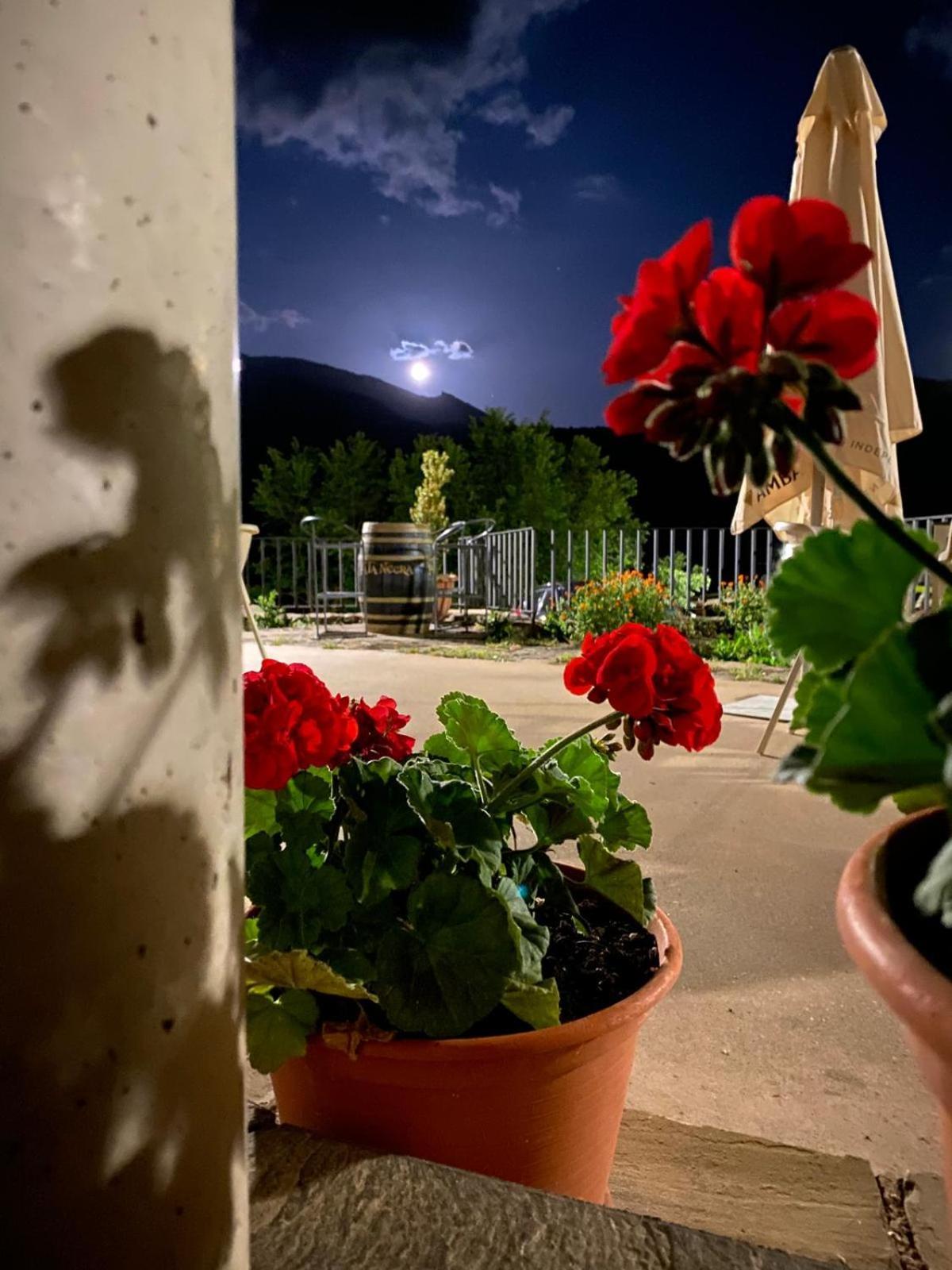 Hotel Guara Inluka Las Almunias Bagian luar foto